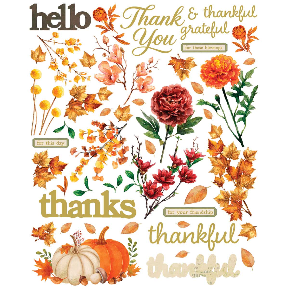 49 & Market Card Kit - Thankful [AIO-38743] - Image 2
