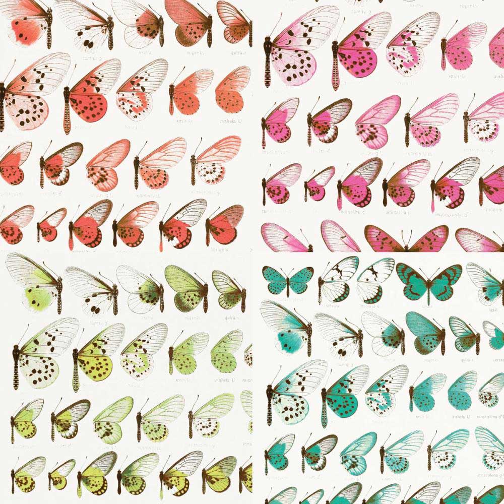 49 & Market Kaleidoscope Collection - 12" x 12" Collection Pack [KAL26955] - Image 2