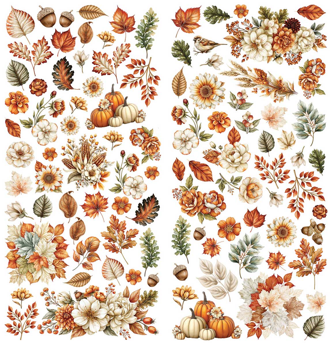 49 & Market Season's Bounty Collection - Laser Cut Wildflowers [DSB-38682] - Image 3