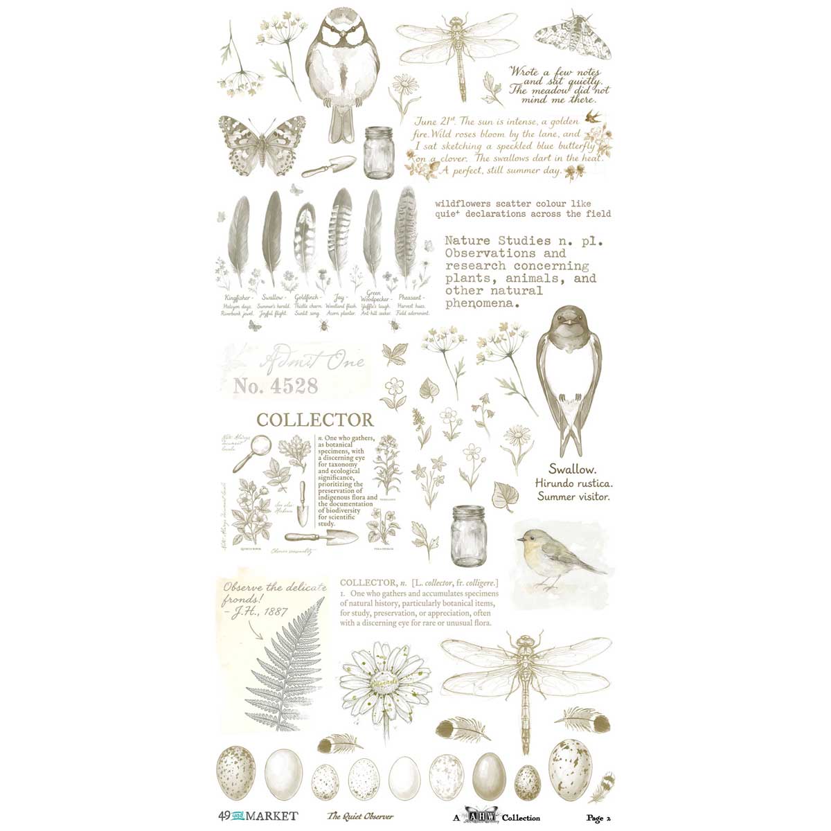 49 & Market The Quiet Observer Collection - Rub On Transfers - Essential [TQO-37173] - Image 3