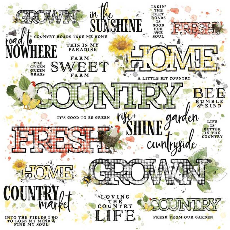 49 & Market Vintage Artistry Countryside Collection 12" x 12" Rub On Transfer Sheet - Sentiments [VAC-38749] - Image 2