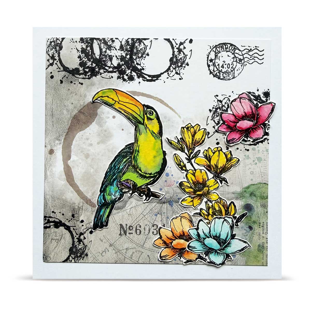 AALL & Create Stamp Set - Bubbly Toucan [TP-1347] - Image 4