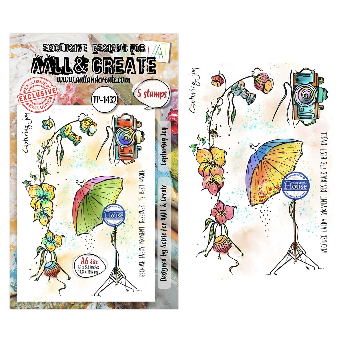 AALL & Create Stamp Set - Capturing Joy [TP-1432]