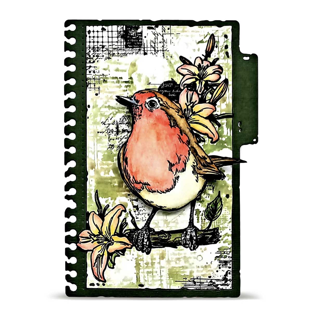 AALL & Create Stamp Set - Robin Sprout [TP-1349] - Image 3