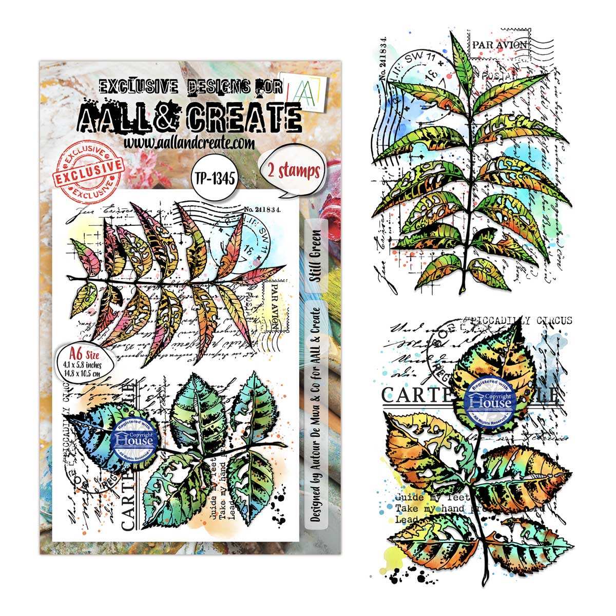AALL & Create Stamp Set - Still Green [TP-1345]