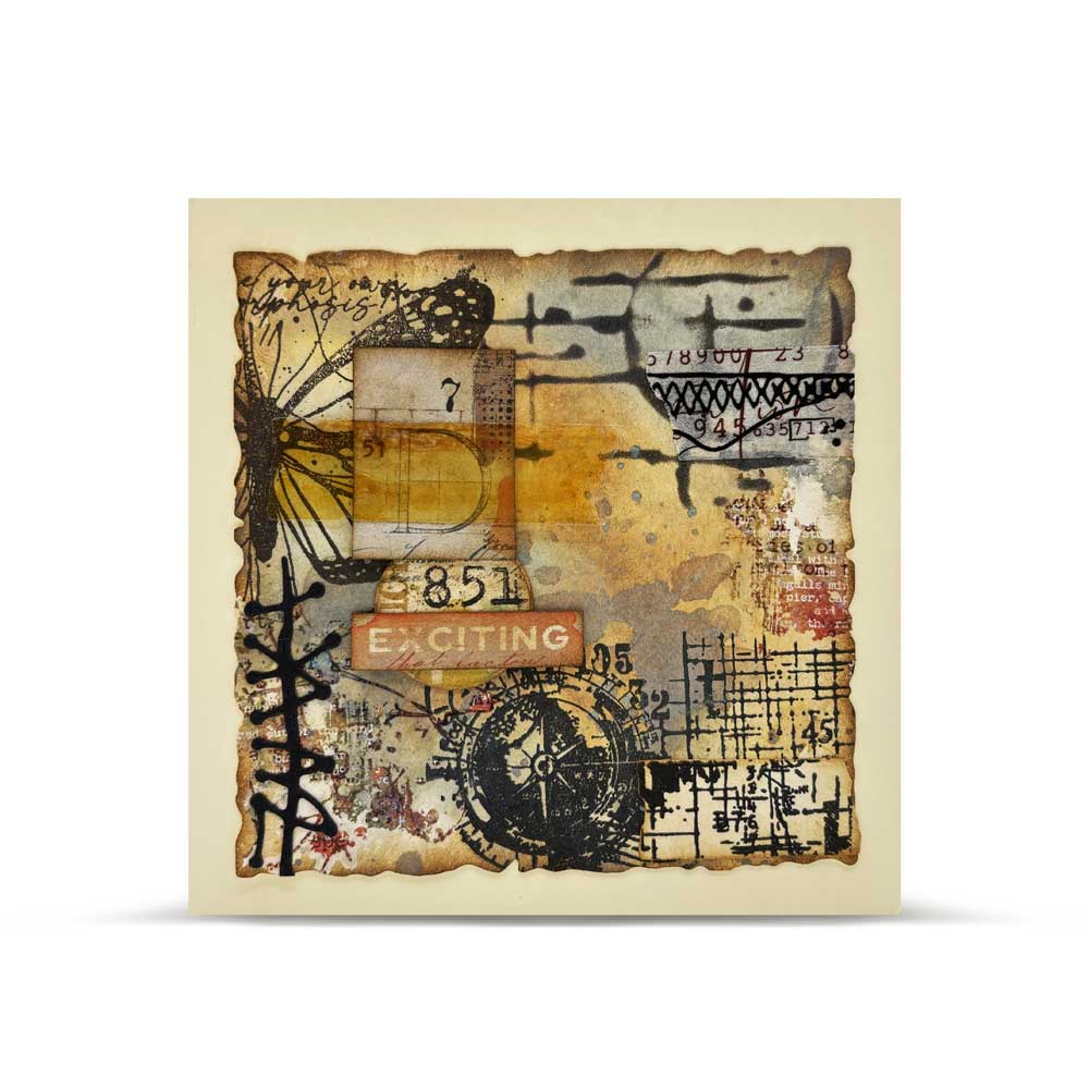 AALL & Create Stamp Set - True North [TP-1264] - Image 5