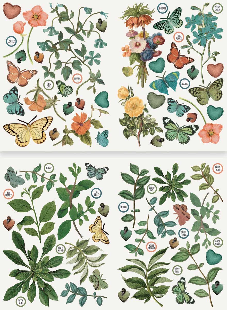 Arden Creative Studio Home & Garden Collection - Laser Cuts - Foliage [ACSLC0015] - Image 2