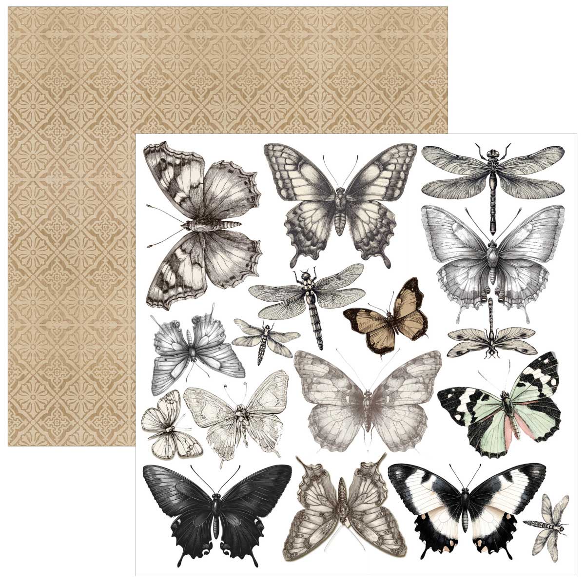 Ciao Bella 6" x 6" Fussy Cut Paper Pad - Typographic [CBQE095] - Image 7