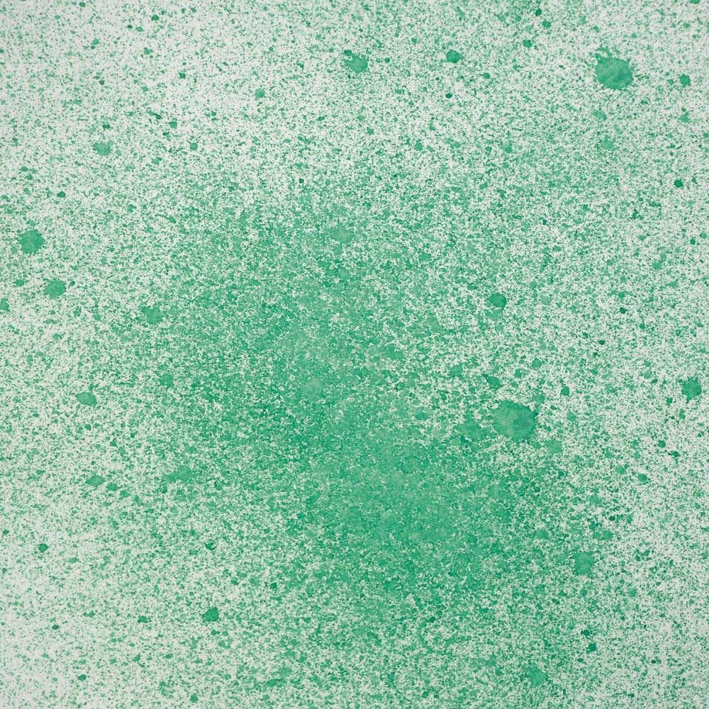 Cosmic Shimmer / Sam Poole Botanical Spray - Eucalyptus Leaves - Image 2
