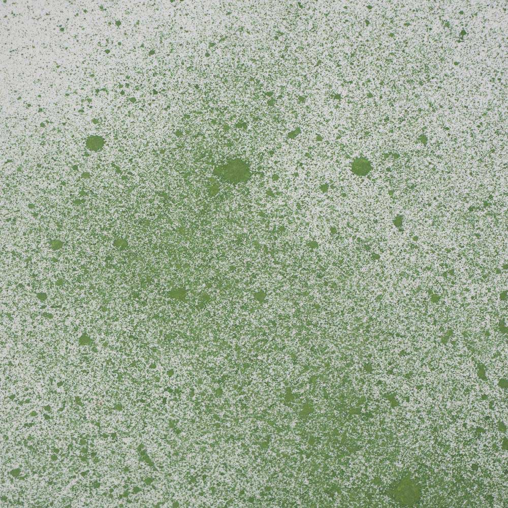 Cosmic Shimmer / Sam Poole Botanical Spray - Herb Green - Image 2