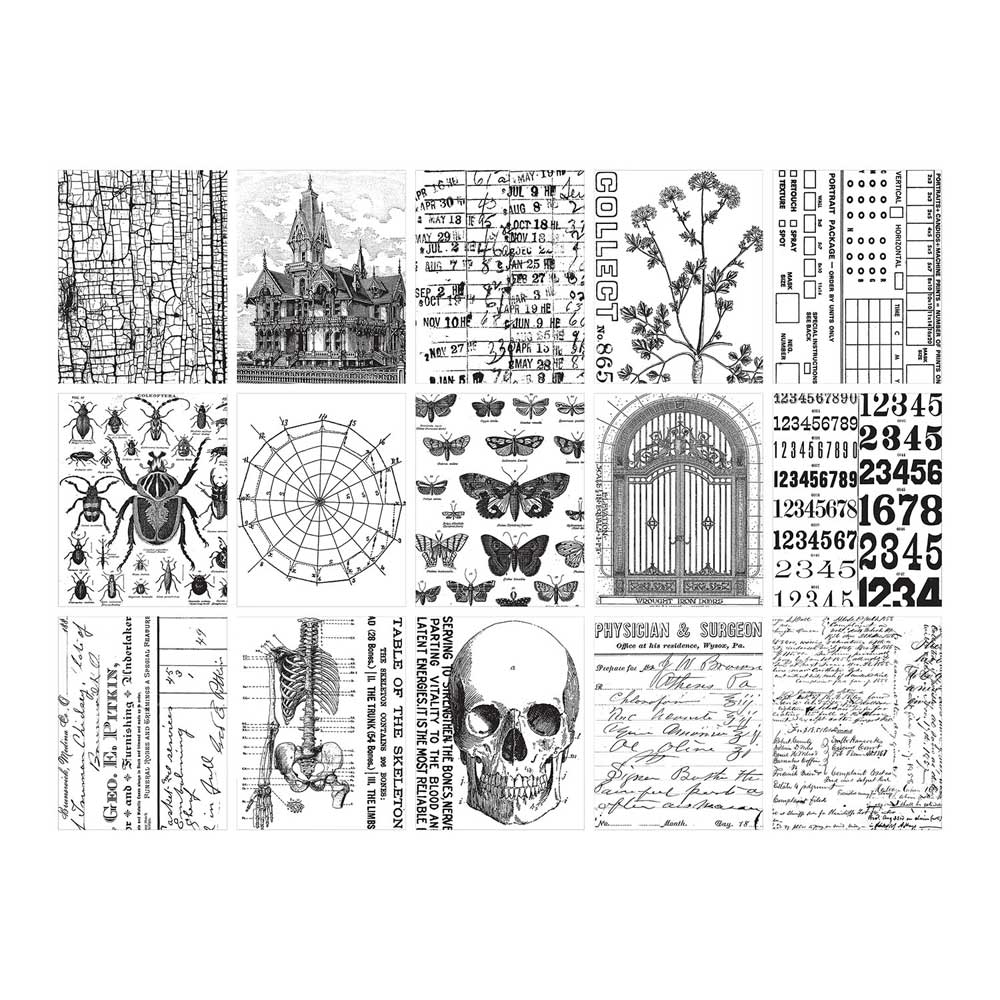 Halloween 2024 Idea-ology by Tim Holtz - [TH94393] Collage Paper - Image 2