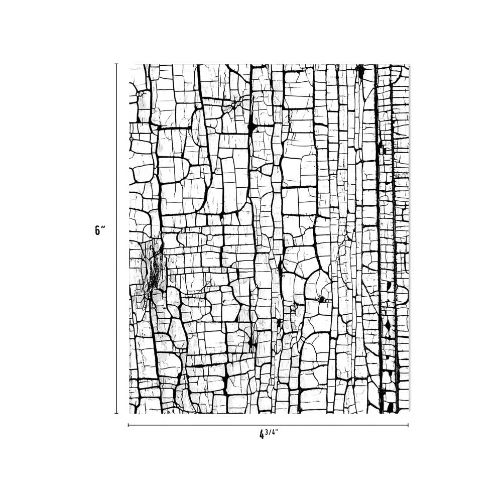 Halloween 2024 Idea-ology by Tim Holtz - [TH94393] Collage Paper - Image 3