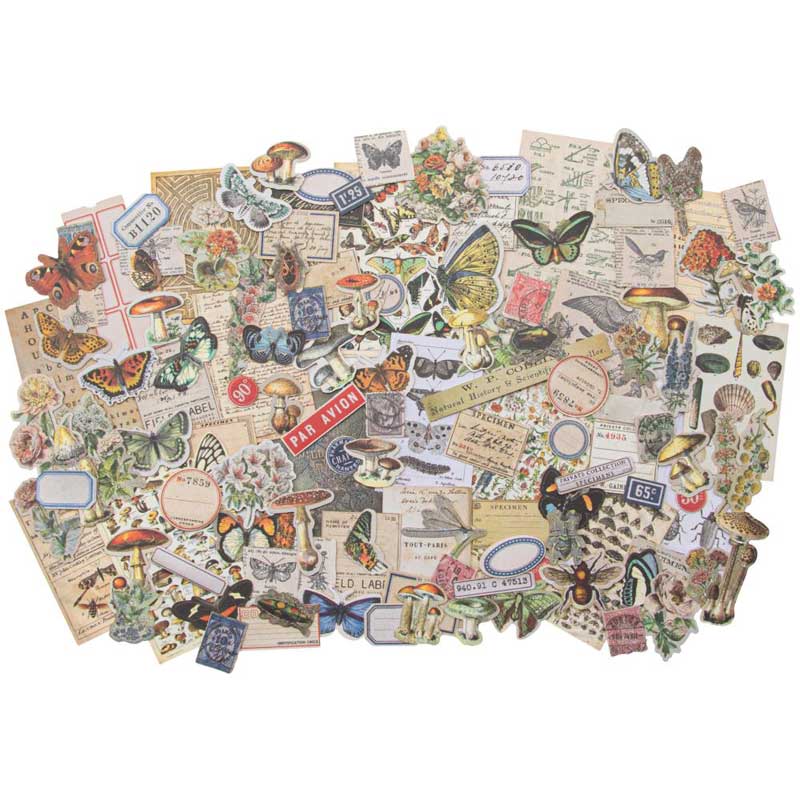 Idea-ology by Tim Holtz - [TH94049] Ephemera Pack - Field Notes Snippets - Image 2