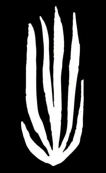 Joggles Watercolor Frond #12 [52536]