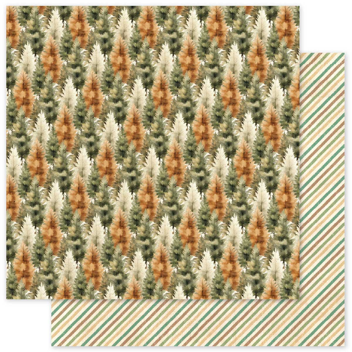 Paper Rose Campfire Tales Collection - 6" x 6" Paper Collection [36730] - Image 5