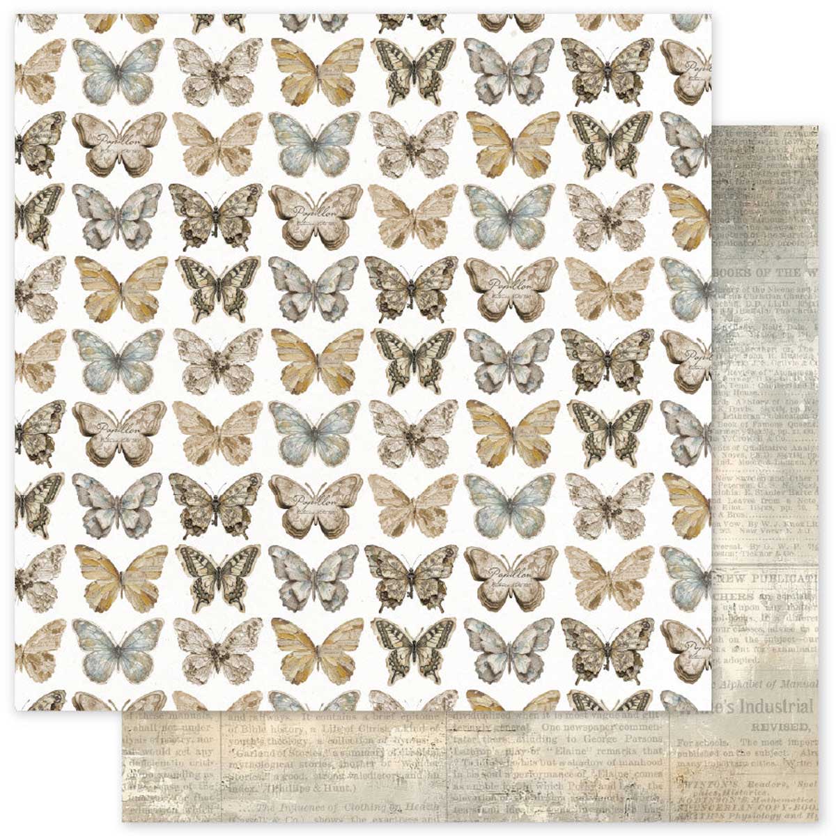 Paper Rose Ink & Ivory Collection - 12" x 12" Paper Collection [36709] - Image 4
