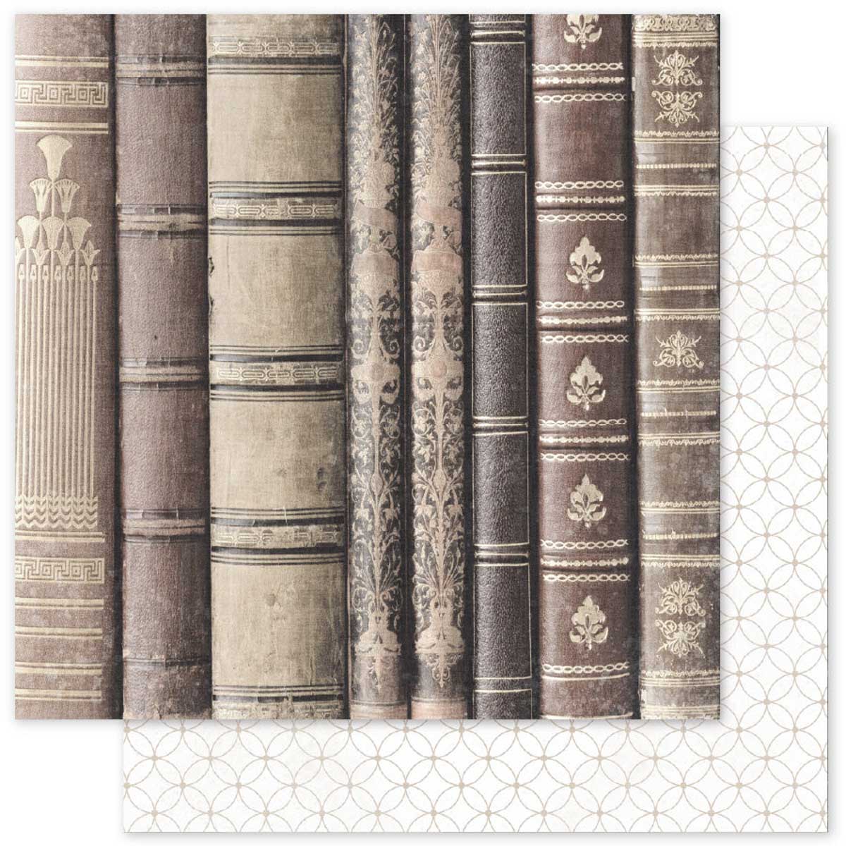 Paper Rose Ink & Ivory Collection - 6" x 6" Paper Collection - Basics [36820] - Image 6