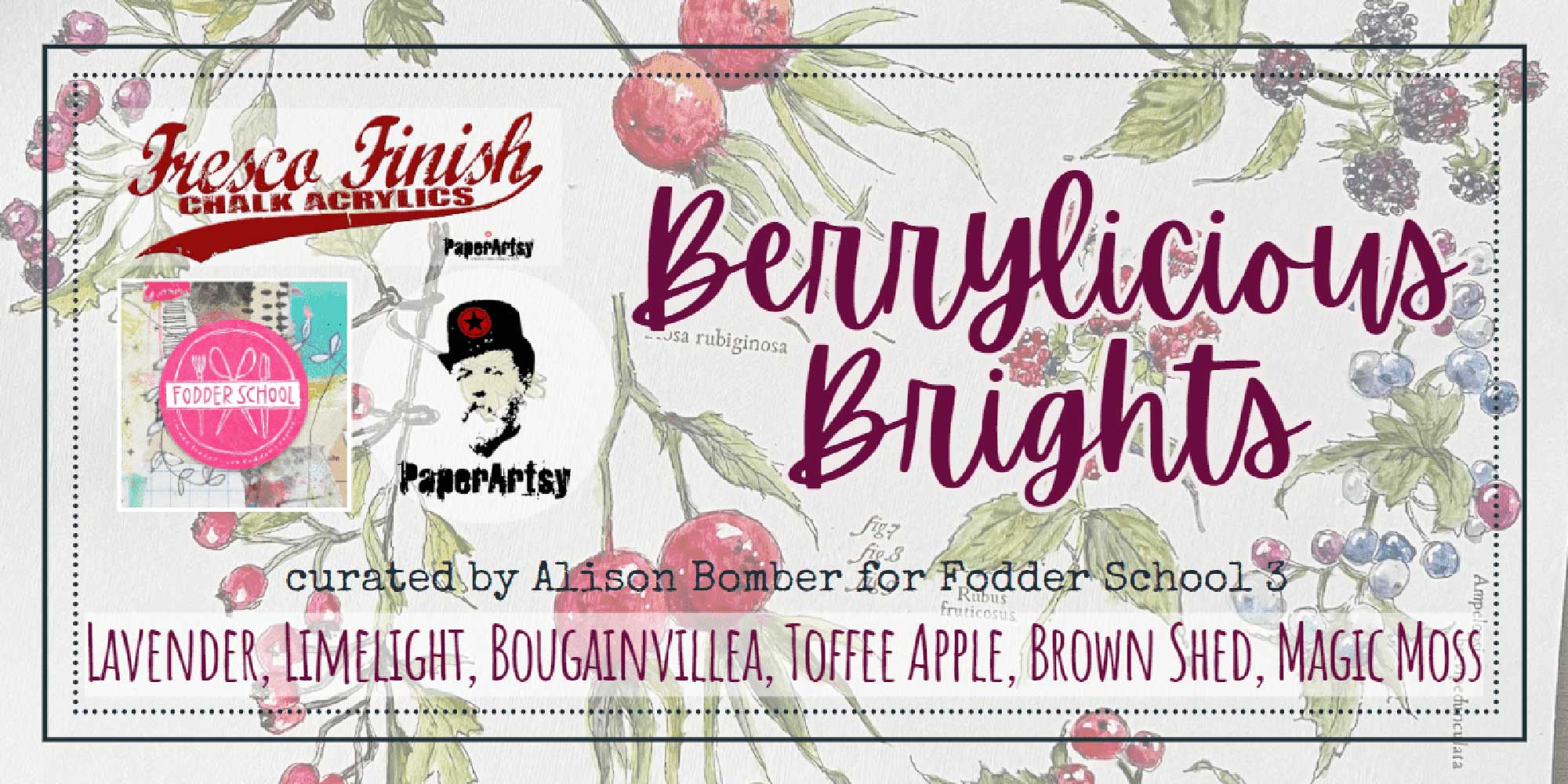 PaperArtsy Fresco Finish Paint Fodder School Set - Berrylicious Brights [EAB-FF-BERRY] - Image 2