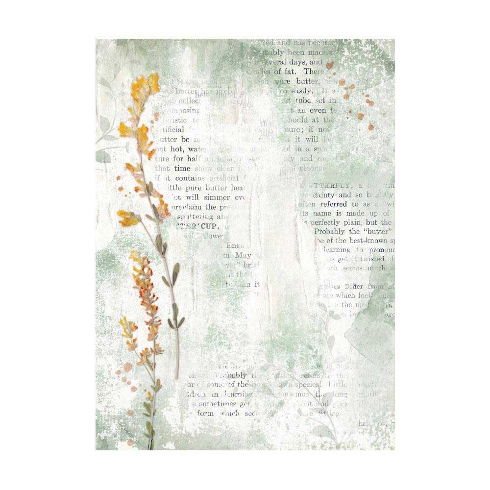 Stamperia Create Happiness Secret Diary Collection - A6 Rice Paper Backgrounds [DFSAK6020] - Image 4