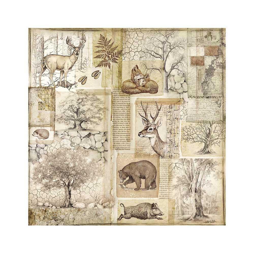 Stamperia Forest Collection - Fabric [SBPLT35] - Image 5