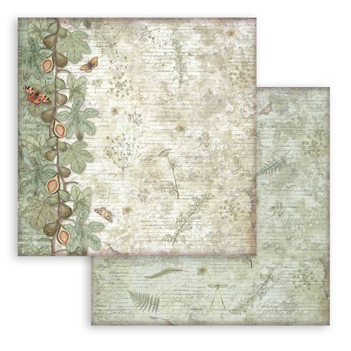 Stamperia Herbarium Silvae Collection - 12" x 12" Maxi Backgrounds Selection [SBBL180] - Image 12