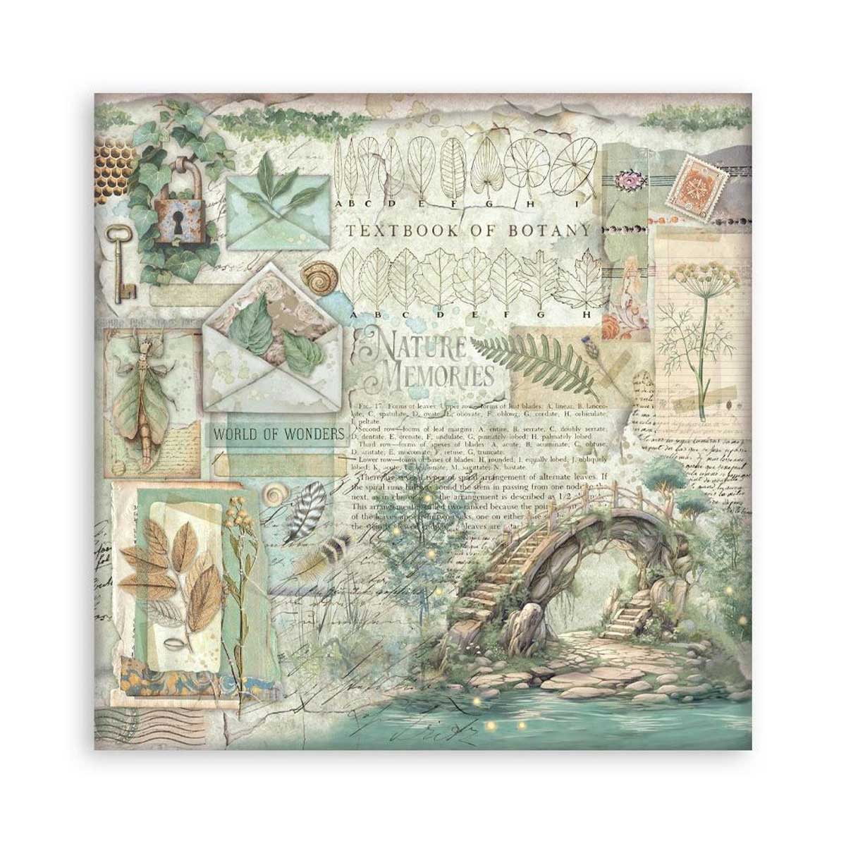 Stamperia Herbarium Silvae Collection - 12" x 12" Maxi Paper Pad [SBBXLB32] - Image 11
