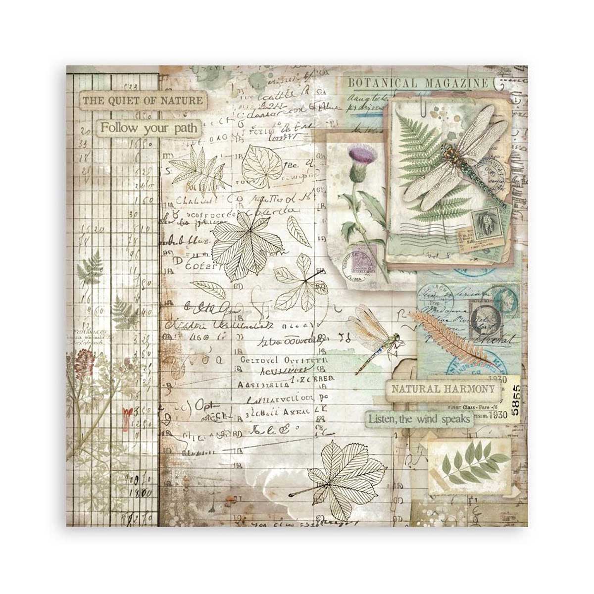Stamperia Herbarium Silvae Collection - 12" x 12" Maxi Paper Pad [SBBXLB32] - Image 13