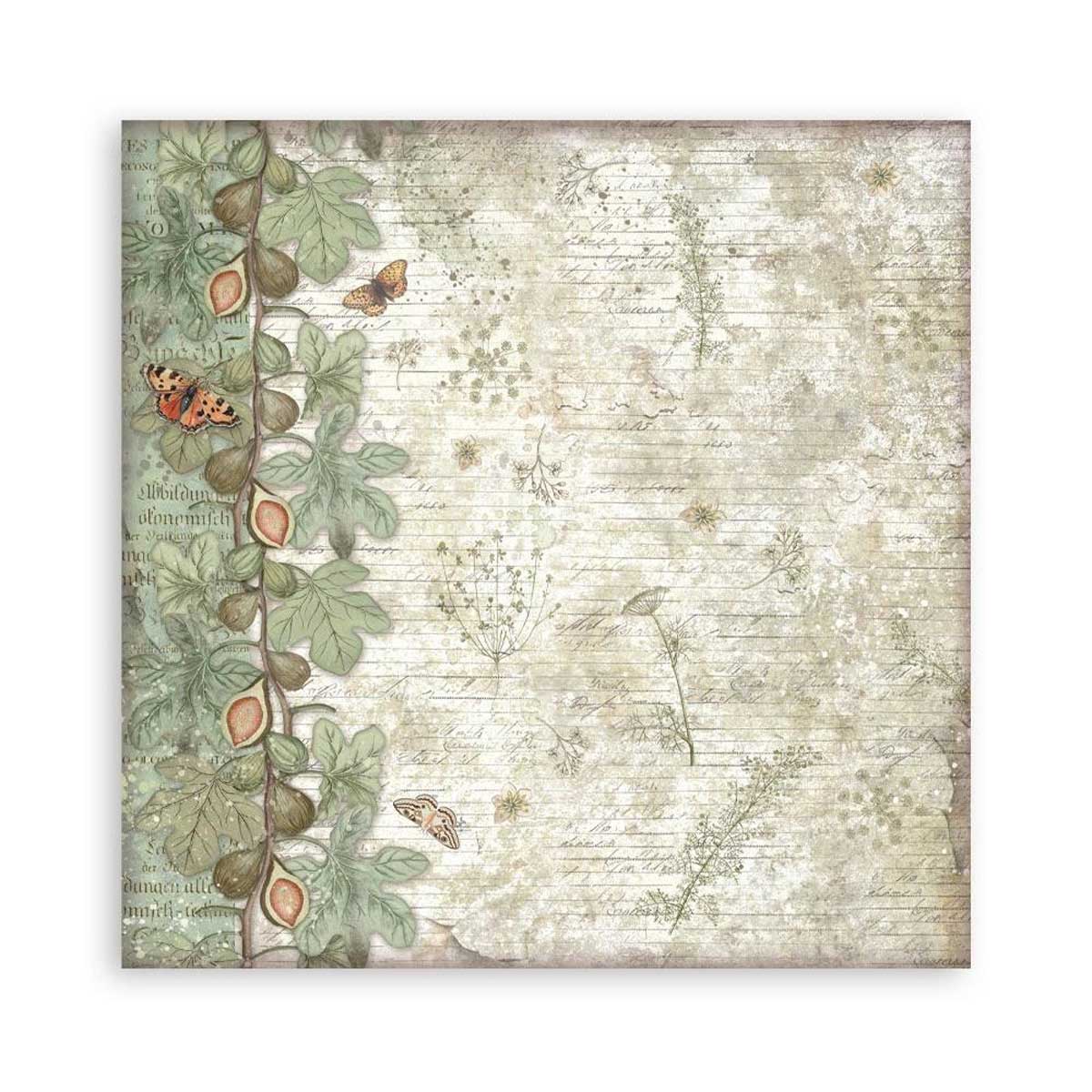 Stamperia Herbarium Silvae Collection - 12" x 12" Maxi Paper Pad [SBBXLB32] - Image 16