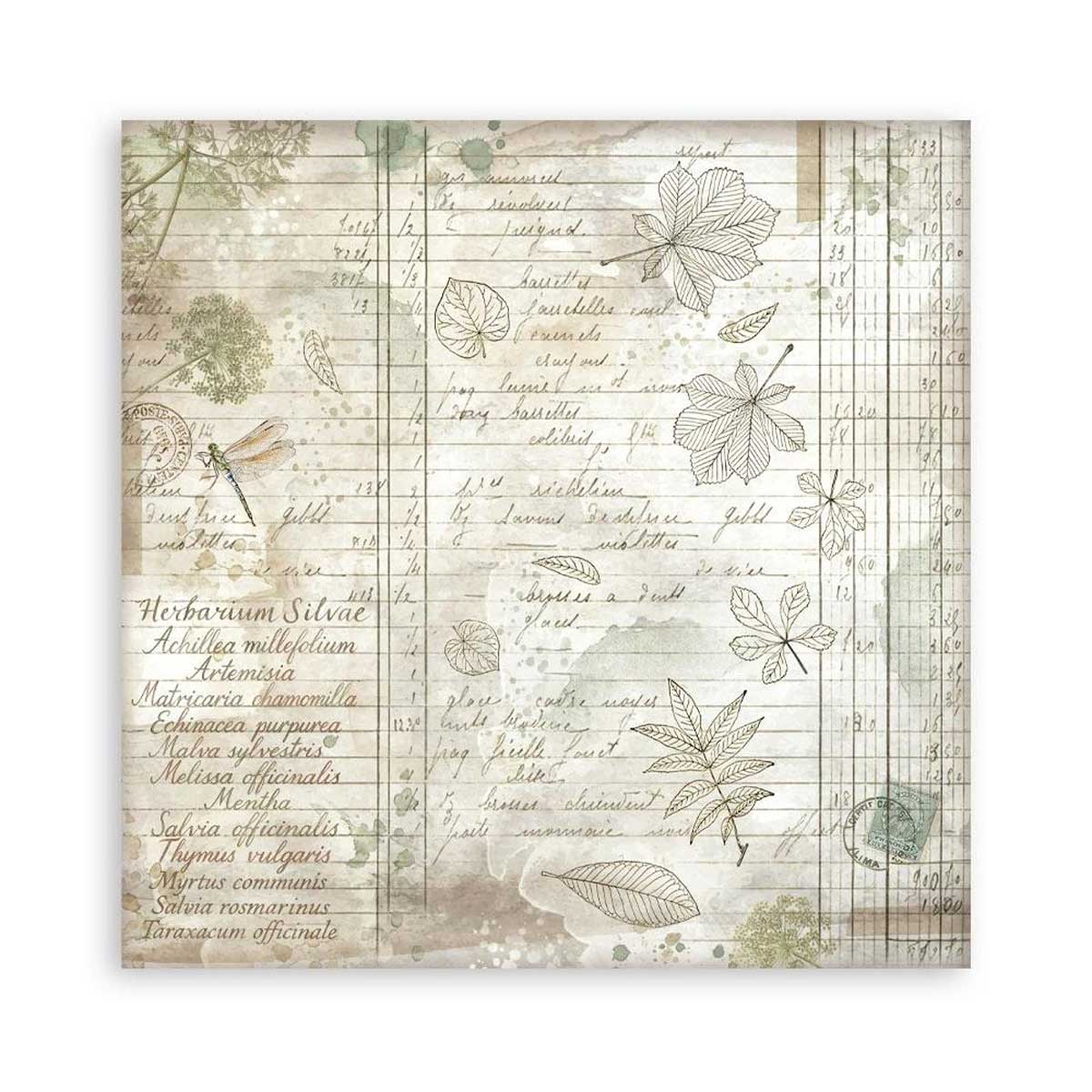 Stamperia Herbarium Silvae Collection - 12" x 12" Maxi Paper Pad [SBBXLB32] - Image 17