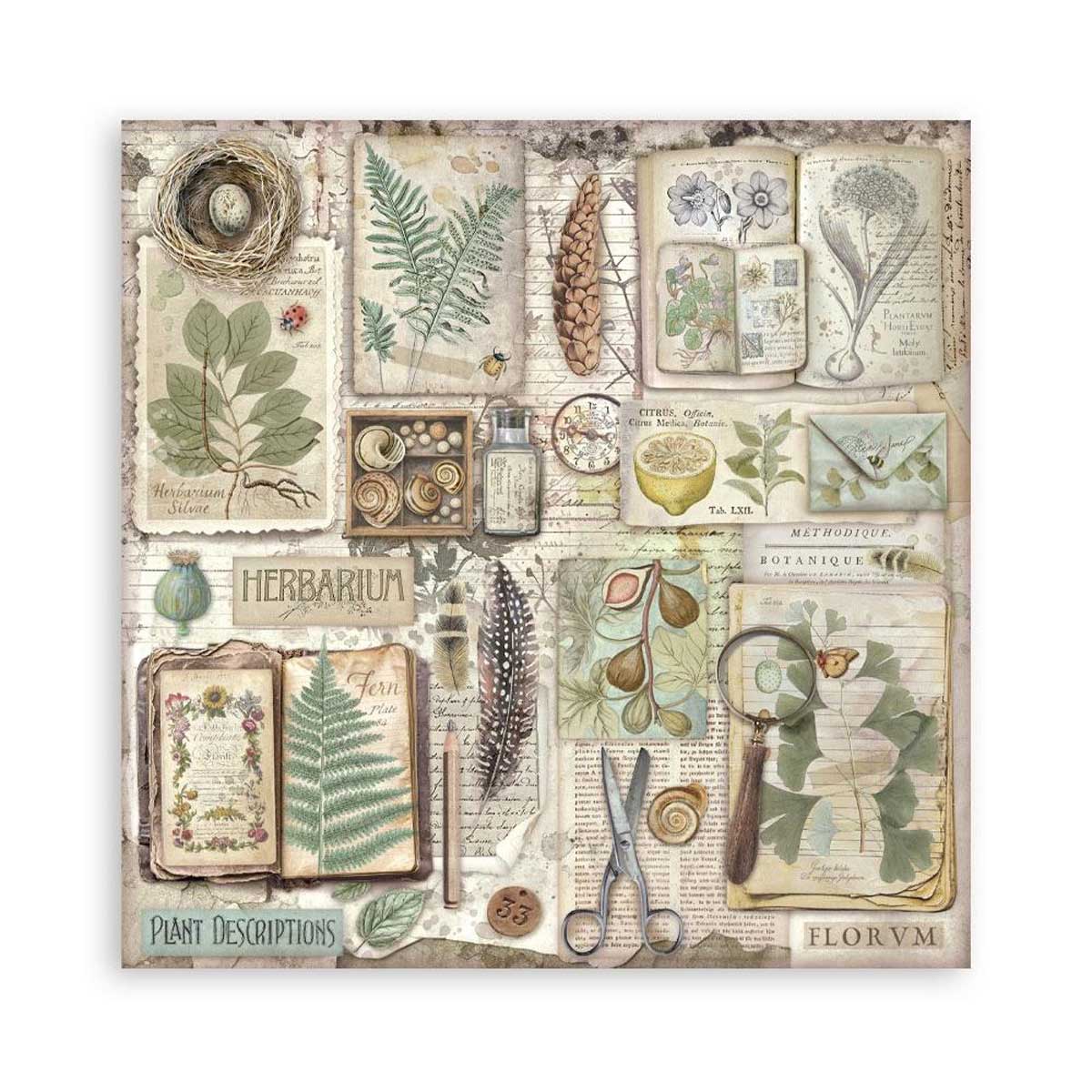 Stamperia Herbarium Silvae Collection - 8" x 8" Maxi Paper Pad [SBBSXB20] - Image 12