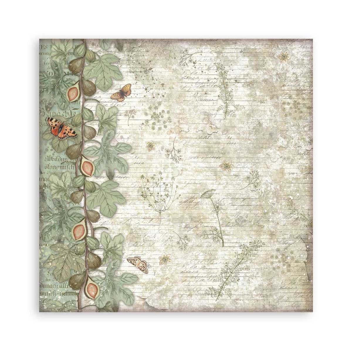 Stamperia Herbarium Silvae Collection - 8" x 8" Maxi Paper Pad [SBBSXB20] - Image 16