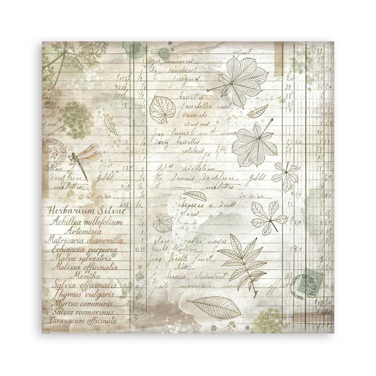 Stamperia Herbarium Silvae Collection - 8" x 8" Maxi Paper Pad [SBBSXB20] - Image 17
