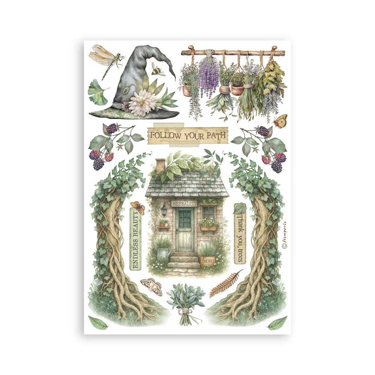 Stamperia Herbarium Silvae Collection - A5 Washi Pad [SBW27] - Image 3