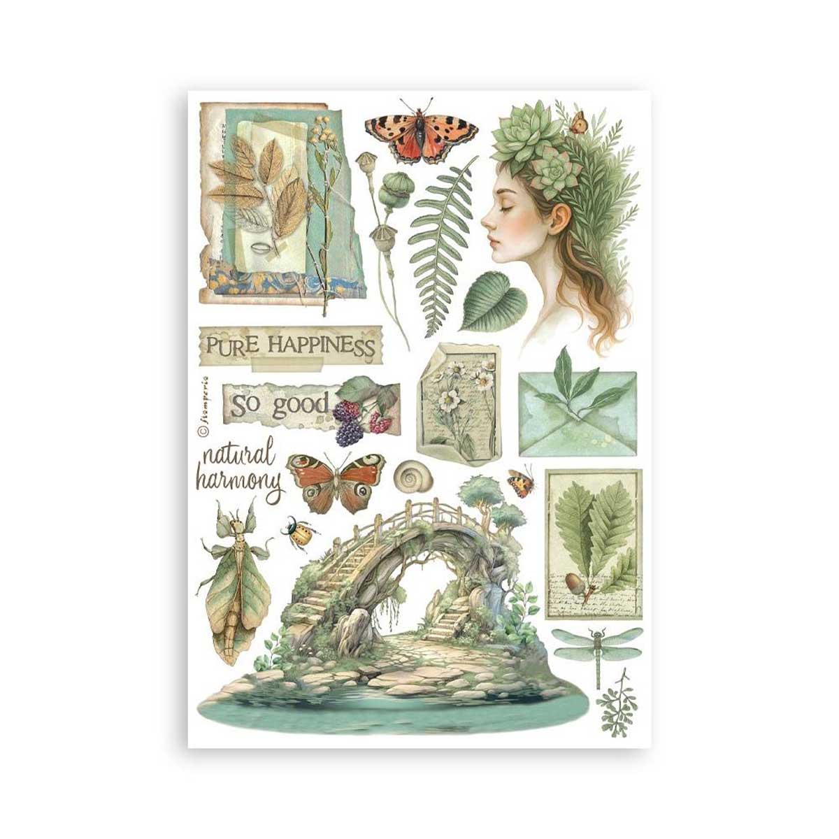 Stamperia Herbarium Silvae Collection - A5 Washi Pad [SBW27] - Image 4