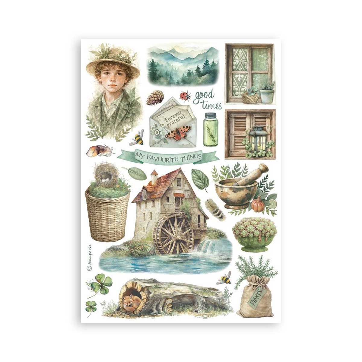 Stamperia Herbarium Silvae Collection - A5 Washi Pad [SBW27] - Image 6