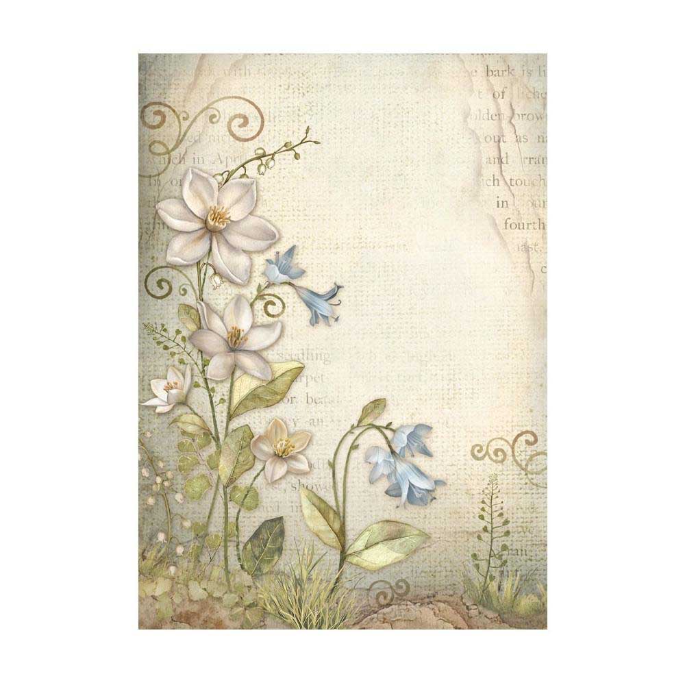 Stamperia Hidden Grove Collection - A6 Rice Paper Backgrounds [DFSAK6038] - Image 8