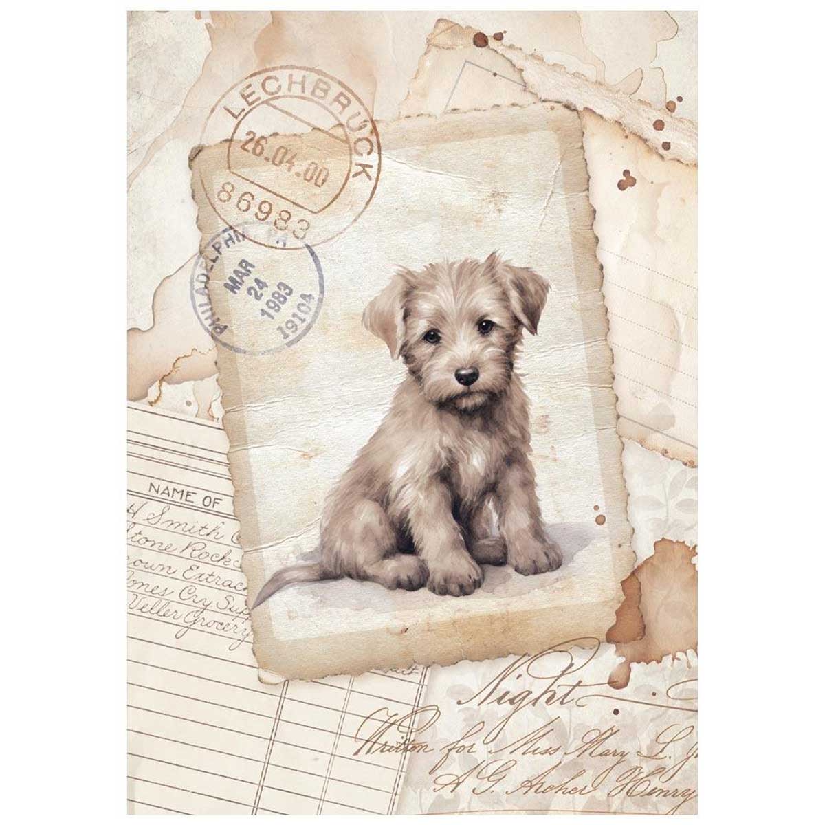 Stamperia Quiet Days Collection - A6 Mini Rice Paper Set [DFSA6X01] - Image 2