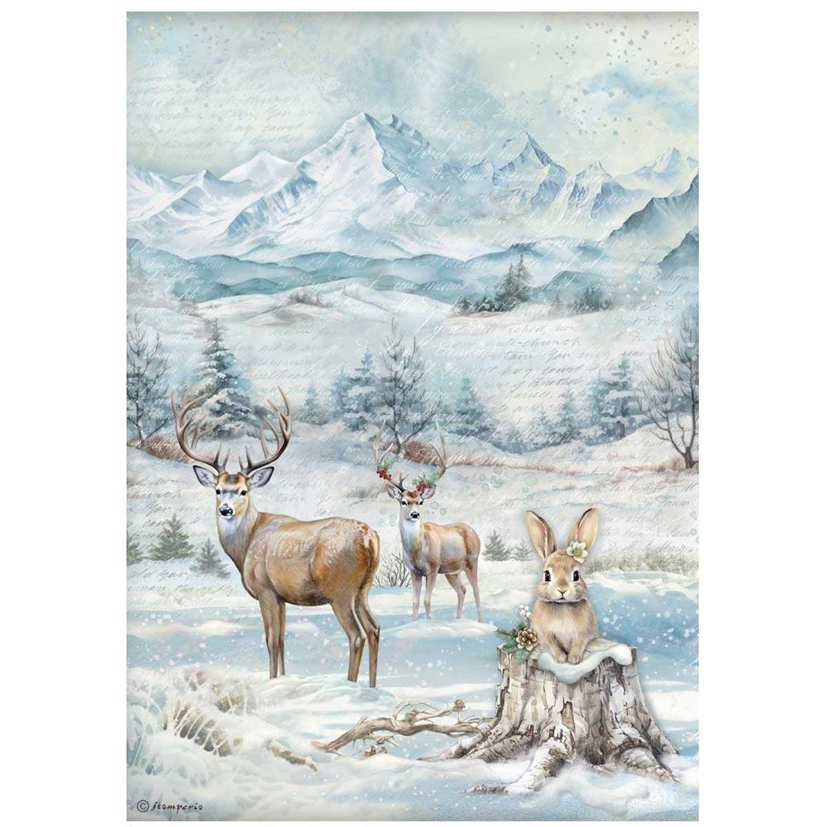 Stamperia The Owl's House Collection - A4 Rice Paper Selection [DFSA4XOH] - Image 5