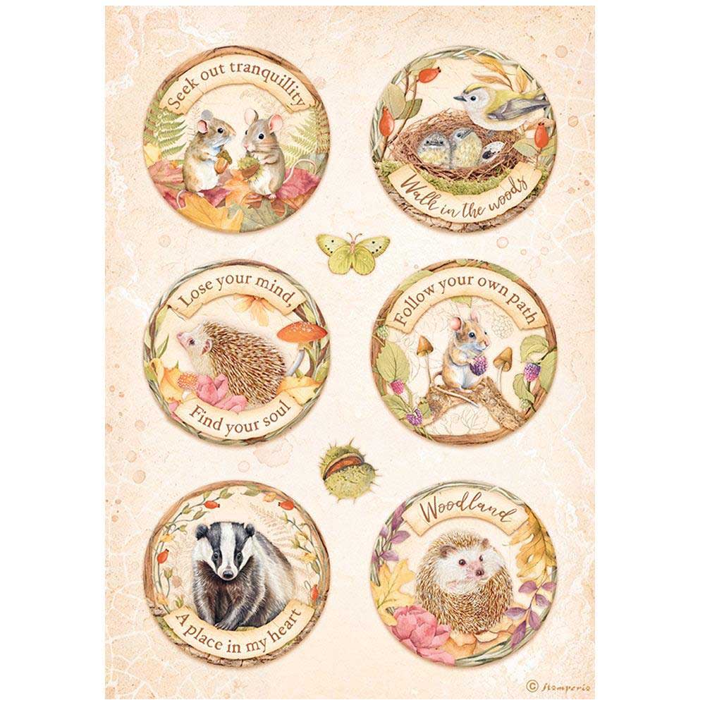 Stamperia Woodland Collection - A4 Rice Paper Selection [DFSA4XWL] - Image 6