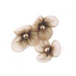 Beaded 3 Petal Voile Flowers - [48] Mocha