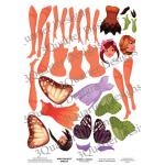 3Quarter Designs Mini Project Sheet - Magic Fairies [MINIKIT022]