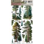 49 & Market Campfire Memories Collection - Rub On Transfer Set - Essential [DCM-37432]