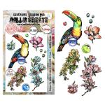 AALL & Create Stamp Set - Bubbly Toucan [TP-1347]