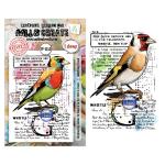 AALL & Create Stamp - Whistling Finch [TP-1350]