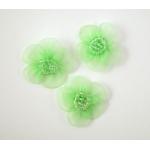 Beaded Voile Daisies - [010] Pale Green