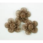 Beaded Voile Daisies - [048] Mocha