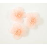 Beaded Voile Daisies - [084] Pale Peach