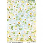 Ciao Bella A4 Rice Paper - White Daisies [CBRP126]