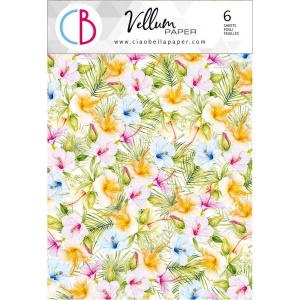 Ciao Bella A4 Vellum Paper Pack - Summer Breeze [CBV005]