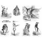 Joggles Collage Sheets - Birds Of A Feather [JG401080]